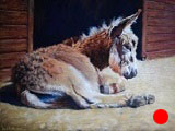 A Donkey's Rest (SOLD)