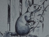Grey Squirrel Ink Sketch