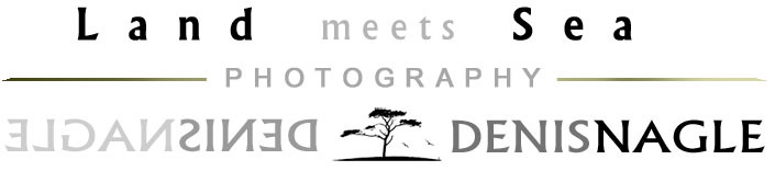 logo white background