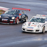 309-Side by side at Copse