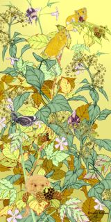 Limited Edition Prints