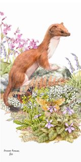 Reasons to be Cheerfull 1