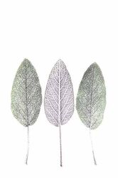 Tokyo Internat'l Foto Awards '25 Fine Art Bronze