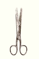 Tokyo Internat'l Foto Awards '25 Fine Art Hons 3