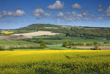 View of Amberley Mount