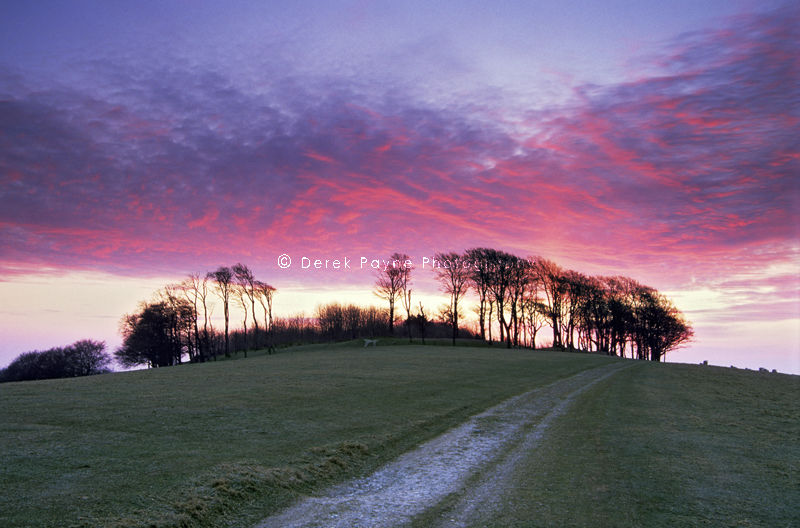 Chanctonbury Sunrise, Chanctonbury, West Sussex.