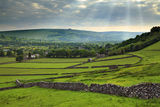 Dry stoned walled fields