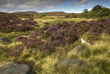 View of Stanage Edge From Heathersage Moor