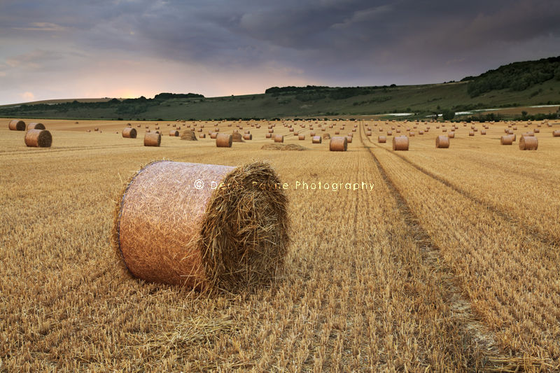 Summer Bales - Longfurlong.