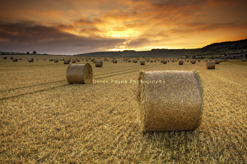 Sunrise over field of straw bales