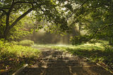 Autumn rays of sunlight.