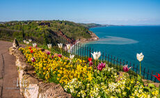 Babbacombe Downs T236