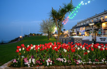 Babbacombe Downs Twilight T208