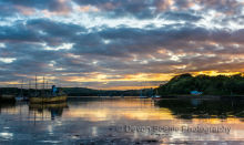 Galmpton Creek, P17