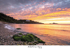 Meadfoot Sunrise, Torquay T122