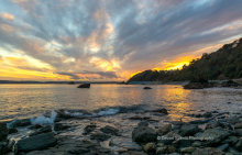 Meadfoot Sunset T156