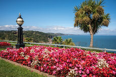 Babbacombe Downs T234