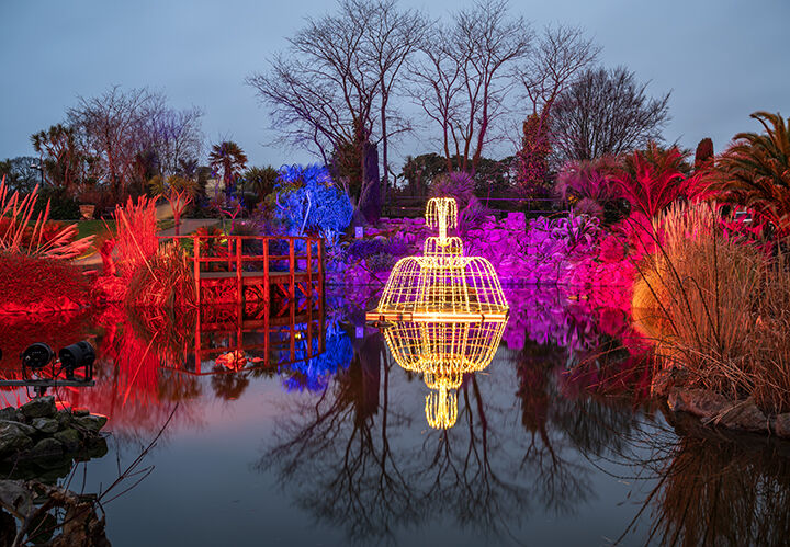 T283 Torre Abbey illuminations