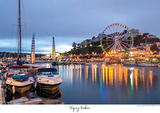 English Riviera Wheel TW01