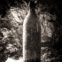 Wine Bottle, Lélex, France 2014