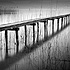 Cudrefin, Lac Neuchatel, Switzerland 2011