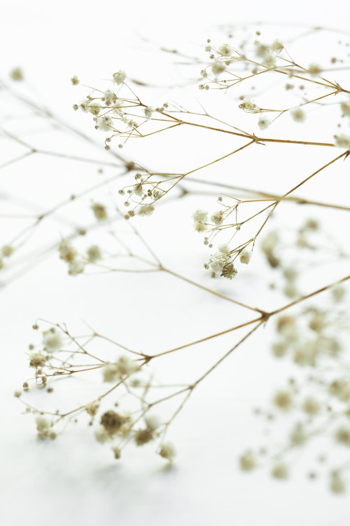 flux white