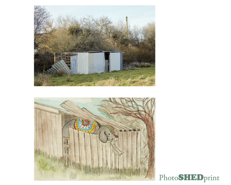 elelphant shed