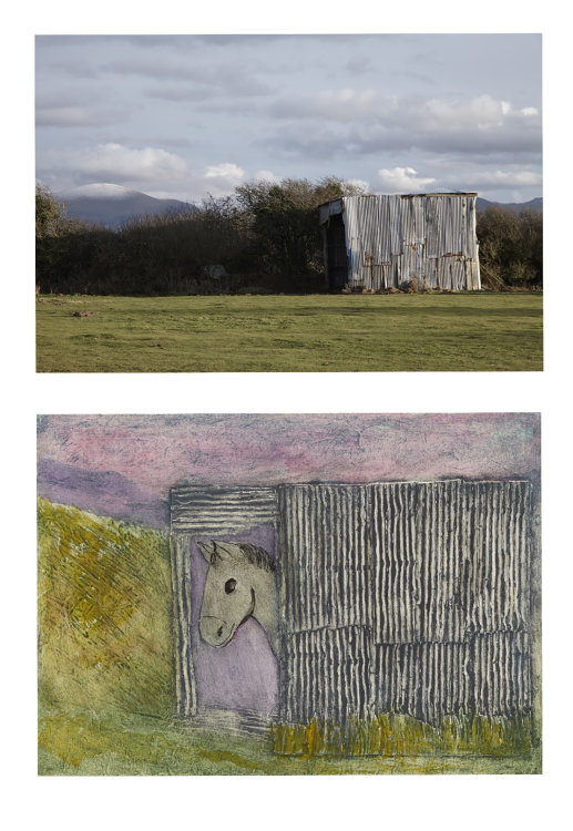 donkey shed