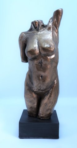 Torso, cold cast bronze, £55