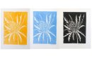 Eryngium, each image A5 in A4 mount