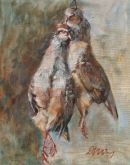 Red-legged Partridge