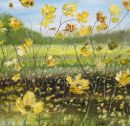 Buttercups