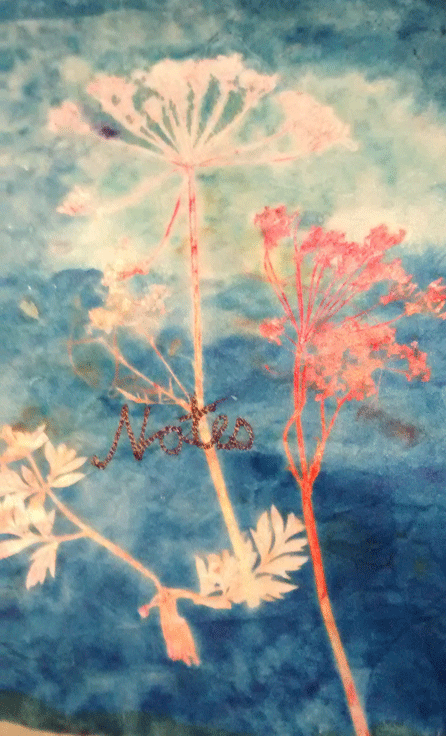 cow-parsley-notebook-cover