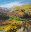 Early Heather, Eyam Moor