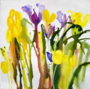Bulb series 5