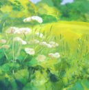Field