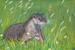 Otter