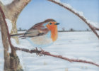 Winter Robin