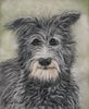 Lurcher