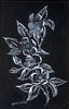 Dog Rose