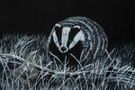 Badger