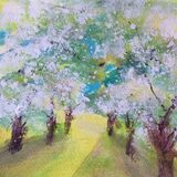 Spring Blossoms