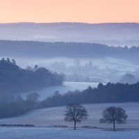Newlands Corner