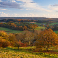 Newlands Corner