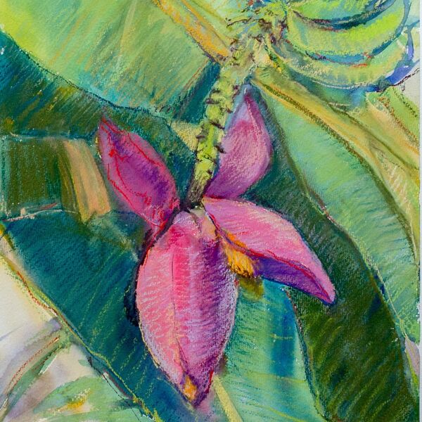 Banana flower