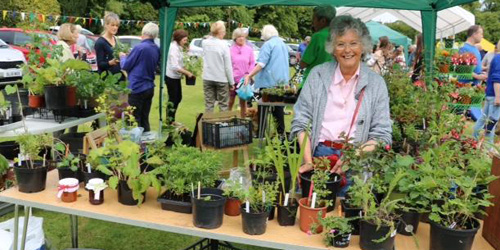 Fete 2019 Plant stall Philippa