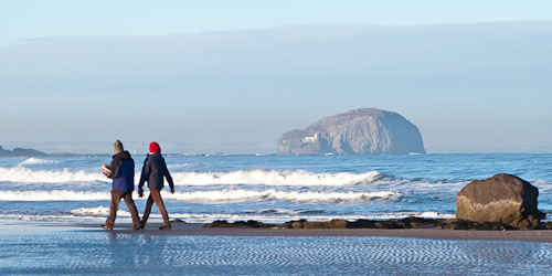 Bass rock 2