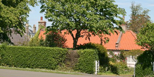 Dirleton village cottages