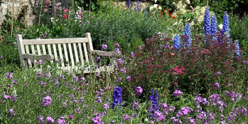 Dirleton garden flowers