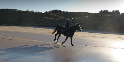 horse riding on beach